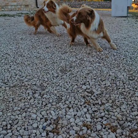 Alloggio per agriturismo Tenuta Tedone Consolini *