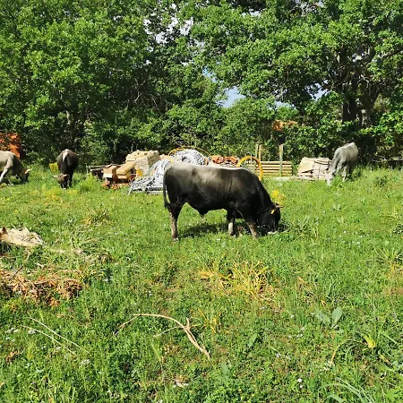 Alloggio per agriturismo Tenuta Tedone Consolini