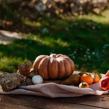 Tenuta Tedone Consolini Alloggio per agriturismo